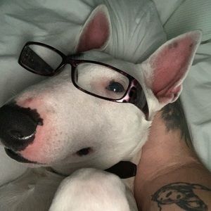 Meet your Posher, Timothy